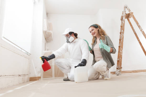 Best HVAC Mold Inspection and Cleaning  in Downingtown, PA