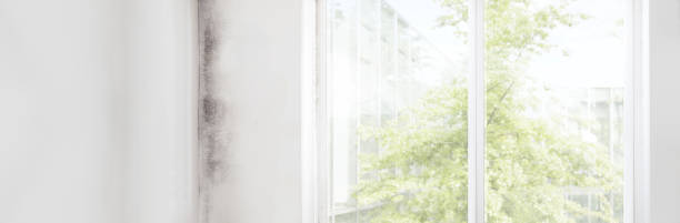 Dehumidification Services in Downingtown, PA