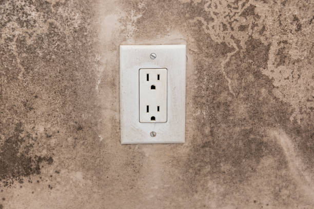 Best Water Damage & Mold Remediation  in Downingtown, PA